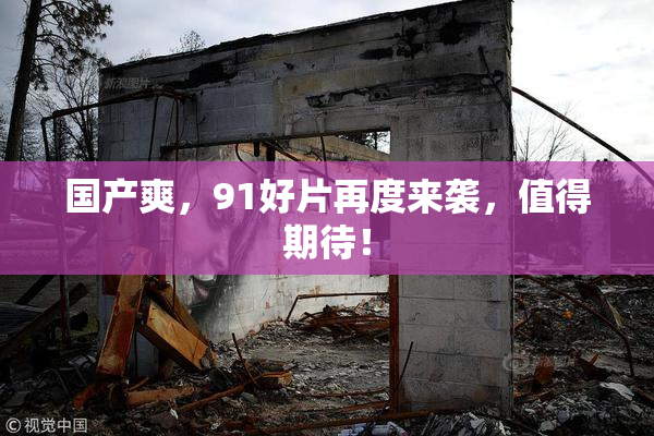 国产爽，91好片再度来袭，值得期待！