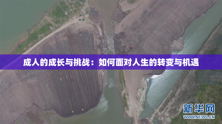 成人的成长与挑战：如何面对人生的转变与机遇