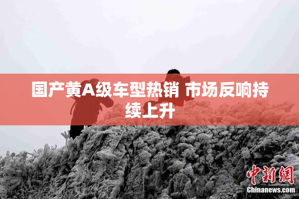 国产黄A级车型热销 市场反响持续上升