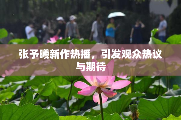 张予曦新作热播，引发观众热议与期待