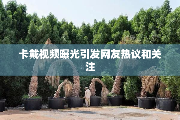 卡戴视频曝光引发网友热议和关注