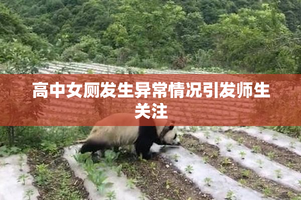 高中女厕发生异常情况引发师生关注