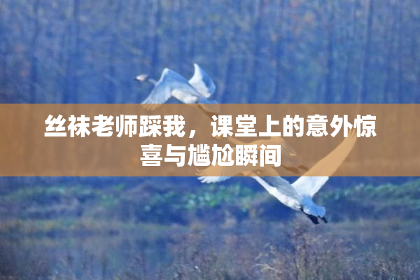 丝袜老师踩我，课堂上的意外惊喜与尴尬瞬间