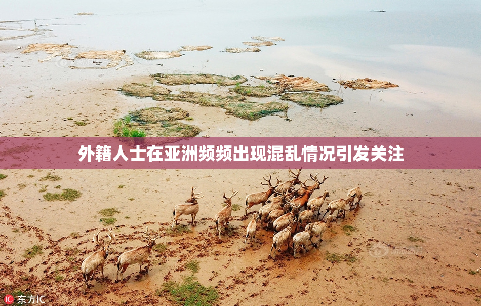 外籍人士在亚洲频频出现混乱情况引发关注