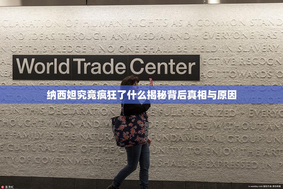 纳西妲究竟疯狂了什么揭秘背后真相与原因
