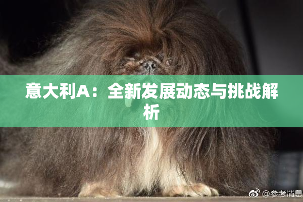 意大利A：全新发展动态与挑战解析