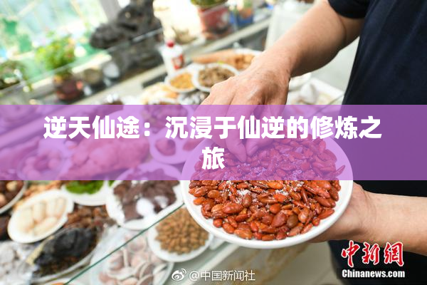 逆天仙途：沉浸于仙逆的修炼之旅