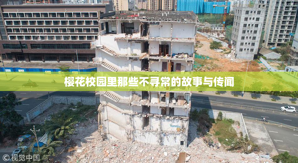 樱花校园里那些不寻常的故事与传闻