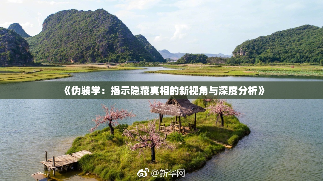 《伪装学：揭示隐藏真相的新视角与深度分析》