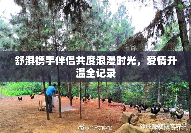 舒淇携手伴侣共度浪漫时光，爱情升温全记录