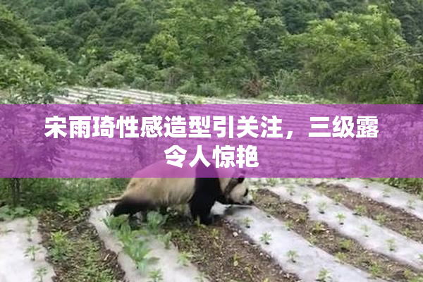 宋雨琦性感造型引关注，三级露令人惊艳