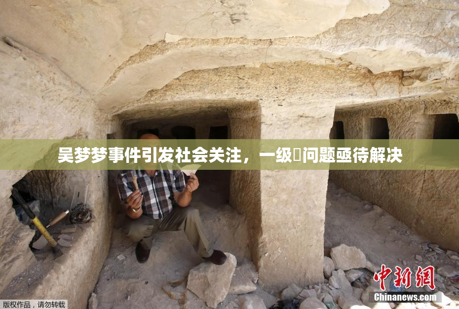 吴梦梦事件引发社会关注，一级婬问题亟待解决