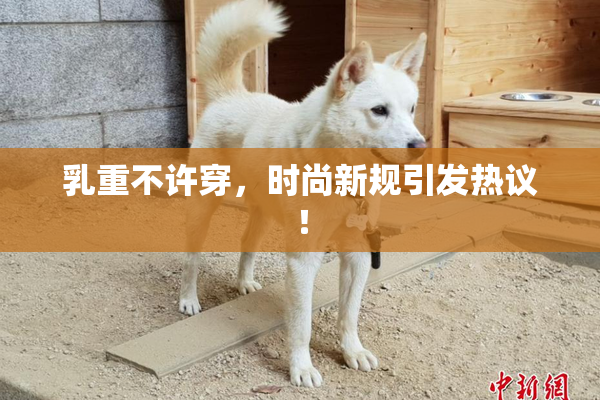 乳重不许穿，时尚新规引发热议！