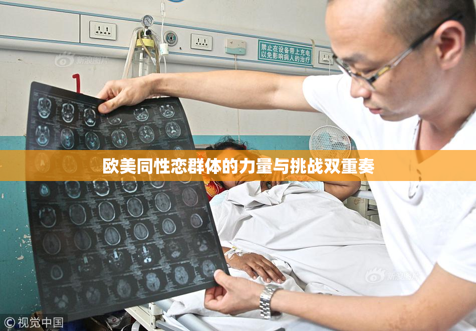 欧美同性恋群体的力量与挑战双重奏