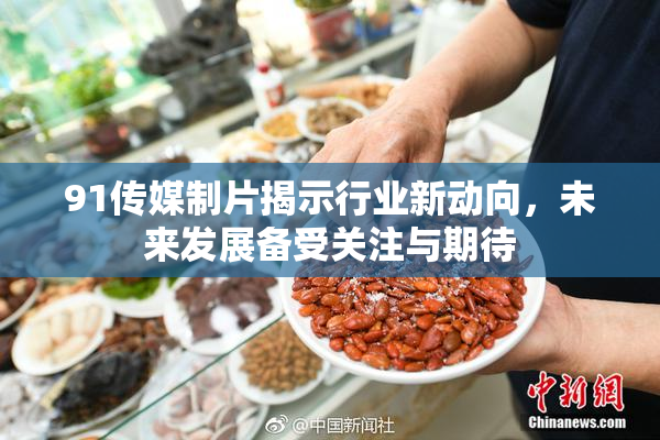 91传媒制片揭示行业新动向，未来发展备受关注与期待