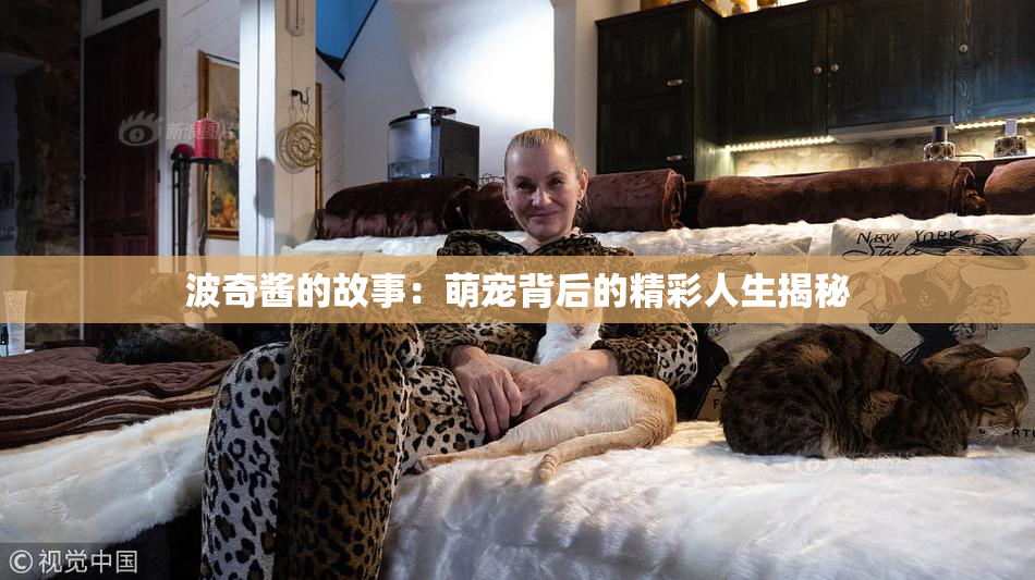 波奇酱的故事：萌宠背后的精彩人生揭秘