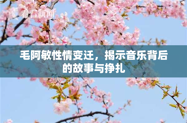 毛阿敏性情变迁，揭示音乐背后的故事与挣扎