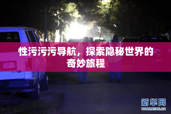 性污污污导航，探索隐秘世界的奇妙旅程
