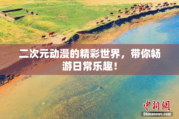 二次元动漫的精彩世界，带你畅游日常乐趣！