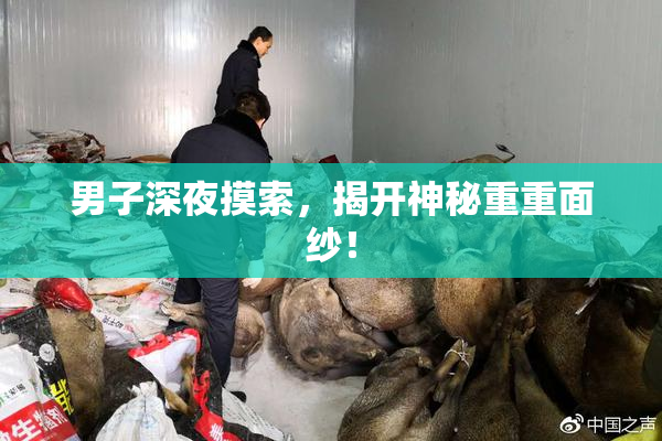 男子深夜摸索，揭开神秘重重面纱！