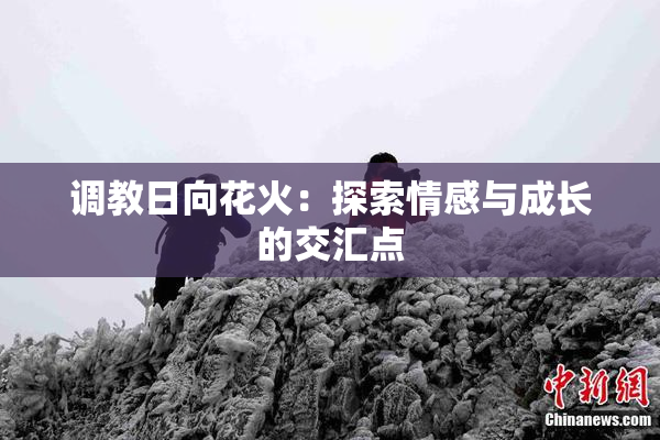 调教日向花火：探索情感与成长的交汇点