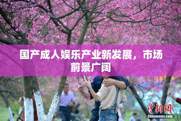 国产成人娱乐产业新发展，市场前景广阔