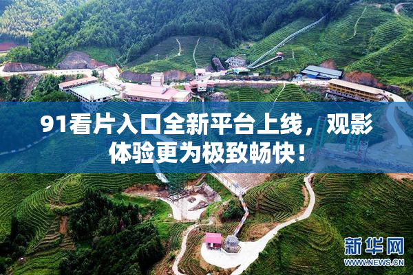 91看片入口全新平台上线，观影体验更为极致畅快！