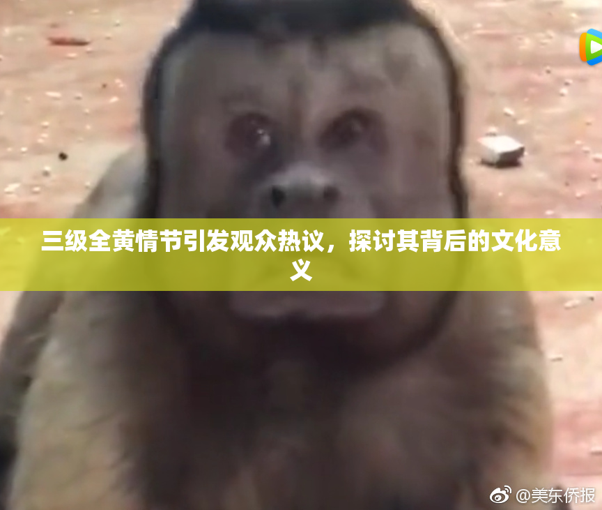 三级全黄情节引发观众热议，探讨其背后的文化意义