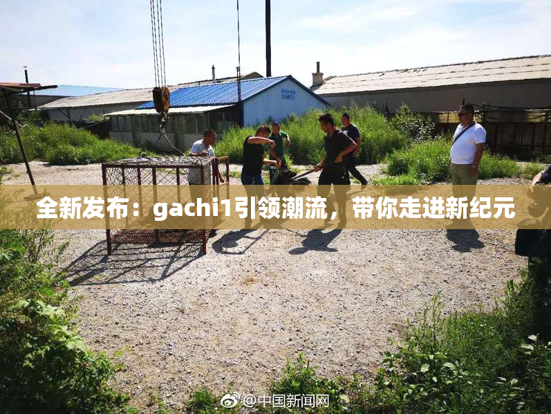 全新发布：gachi1引领潮流，带你走进新纪元
