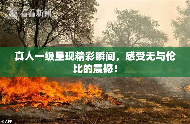 真人一级呈现精彩瞬间，感受无与伦比的震撼！