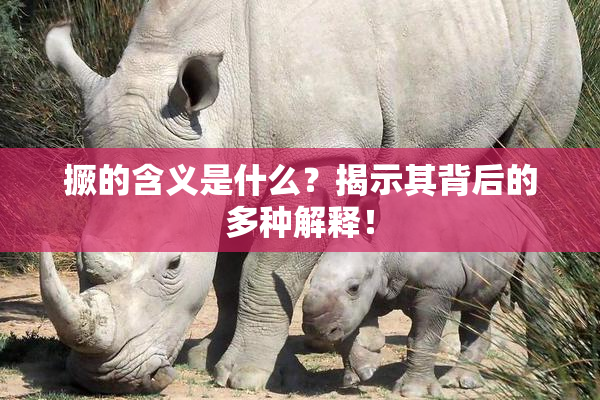 撅的含义是什么？揭示其背后的多种解释！