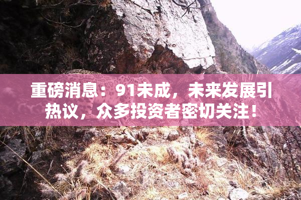 重磅消息：91未成，未来发展引热议，众多投资者密切关注！