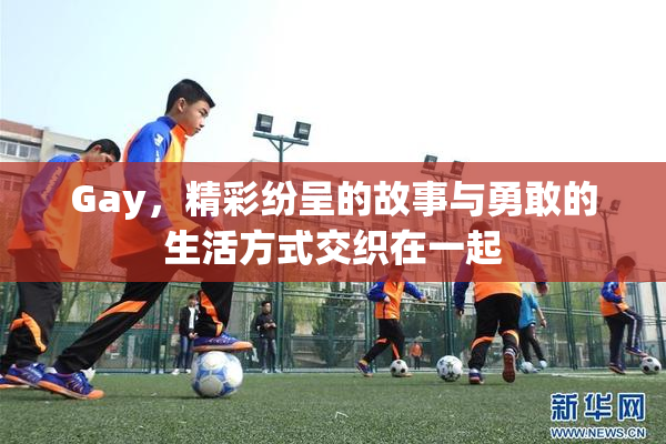 Gay，精彩纷呈的故事与勇敢的生活方式交织在一起
