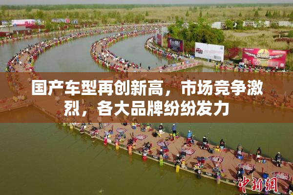 国产车型再创新高，市场竞争激烈，各大品牌纷纷发力
