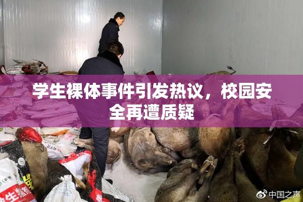 学生裸体事件引发热议，校园安全再遭质疑