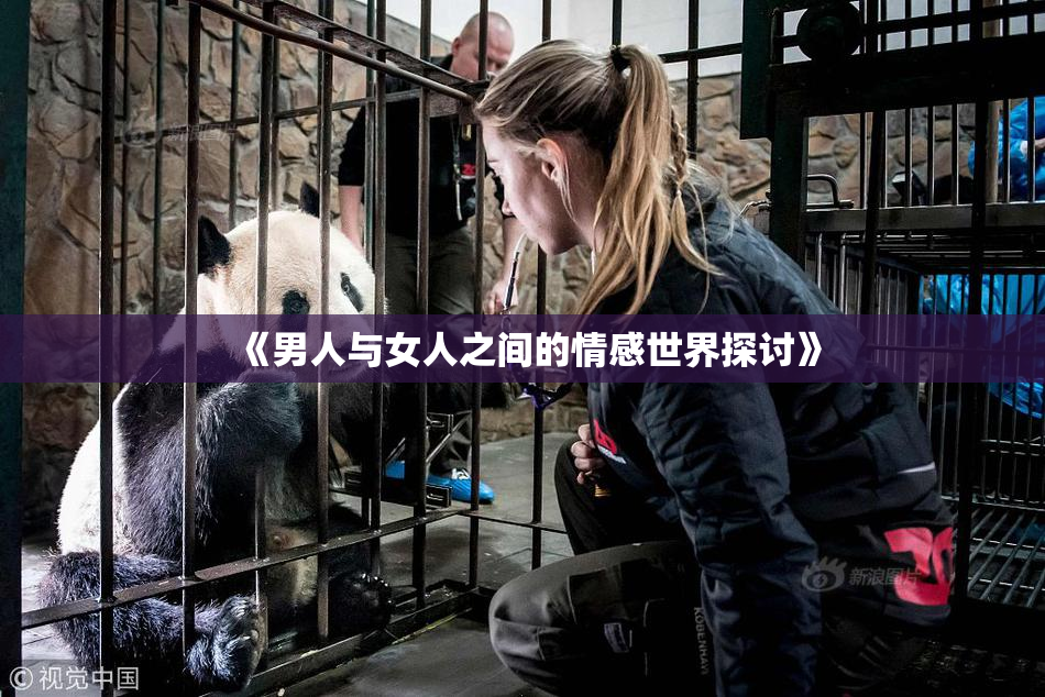 《男人与女人之间的情感世界探讨》