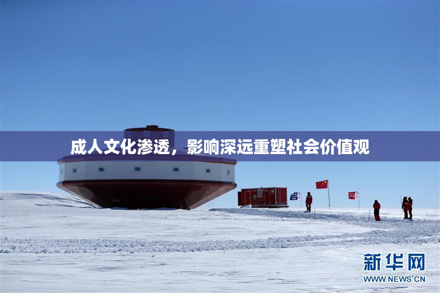 成人文化渗透，影响深远重塑社会价值观