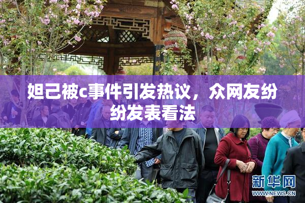 妲己被c事件引发热议，众网友纷纷发表看法