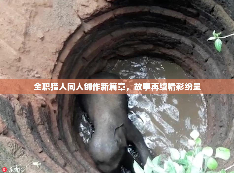 全职猎人同人创作新篇章，故事再续精彩纷呈
