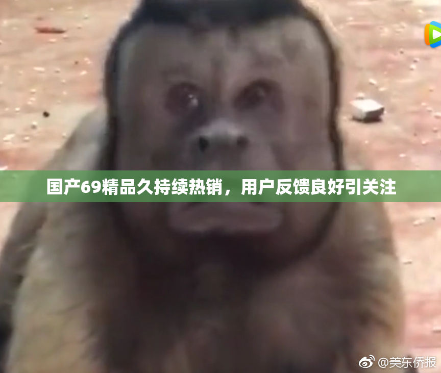 国产69精品久持续热销，用户反馈良好引关注