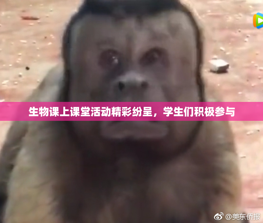 生物课上课堂活动精彩纷呈，学生们积极参与