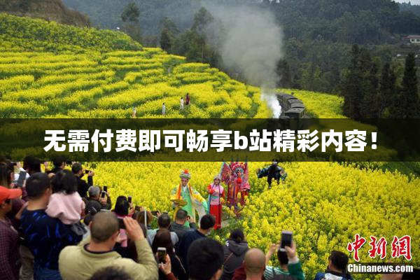 无需付费即可畅享b站精彩内容！