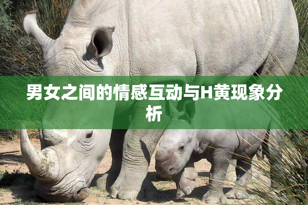 男女之间的情感互动与H黄现象分析