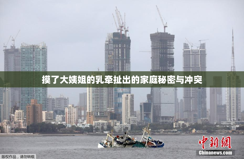 摸了大姨姐的乳牵扯出的家庭秘密与冲突