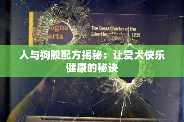 人与狗胶配方揭秘：让爱犬快乐健康的秘诀