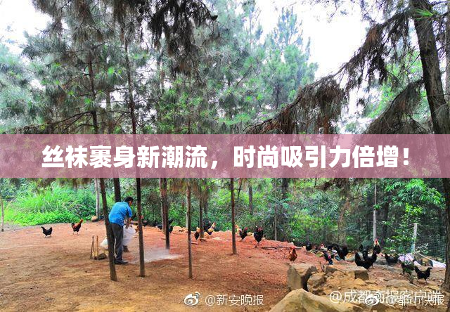 丝袜裹身新潮流，时尚吸引力倍增！