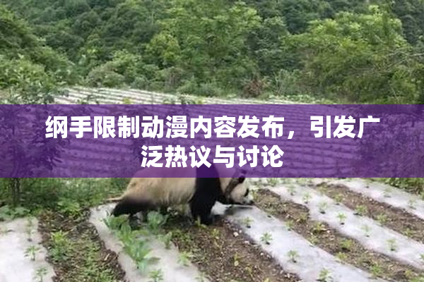 纲手限制动漫内容发布，引发广泛热议与讨论