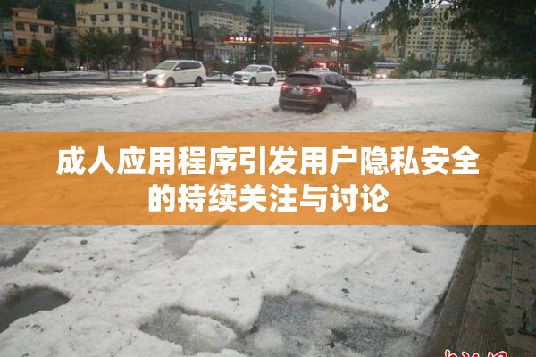 成人应用程序引发用户隐私安全的持续关注与讨论
