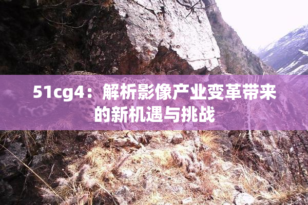 51cg4：解析影像产业变革带来的新机遇与挑战