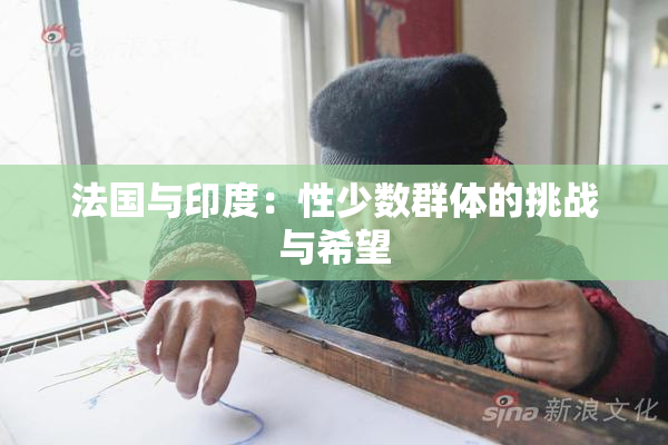 法国与印度：性少数群体的挑战与希望